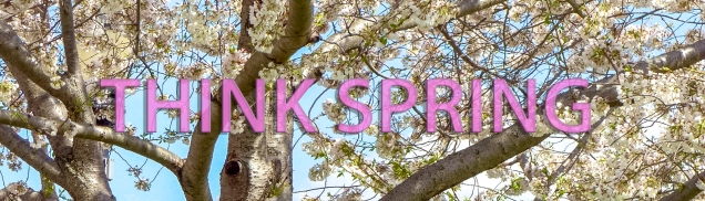 think-spring